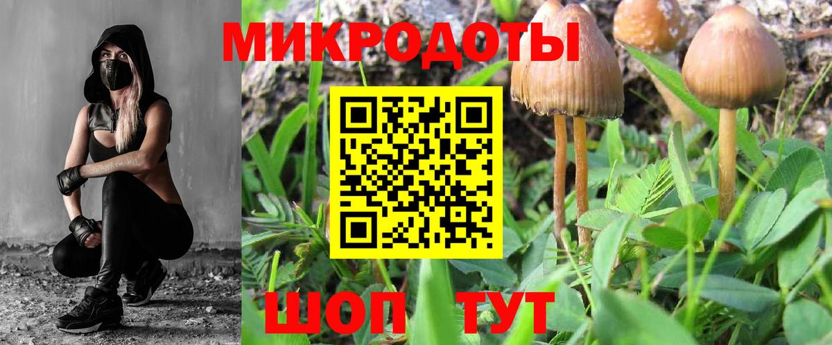 Псилоцибиновые грибы мицелий Чернушка