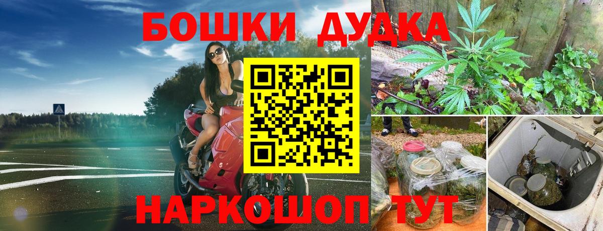 Бошки марихуана White Widow  Бошки Шишки Ganja  Шишки марихуана планчик  Вход с VPN  Шишки марихуана план  Чернушка 